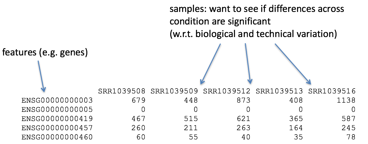 Example of a count matrix. Image from github.com/hbctraining