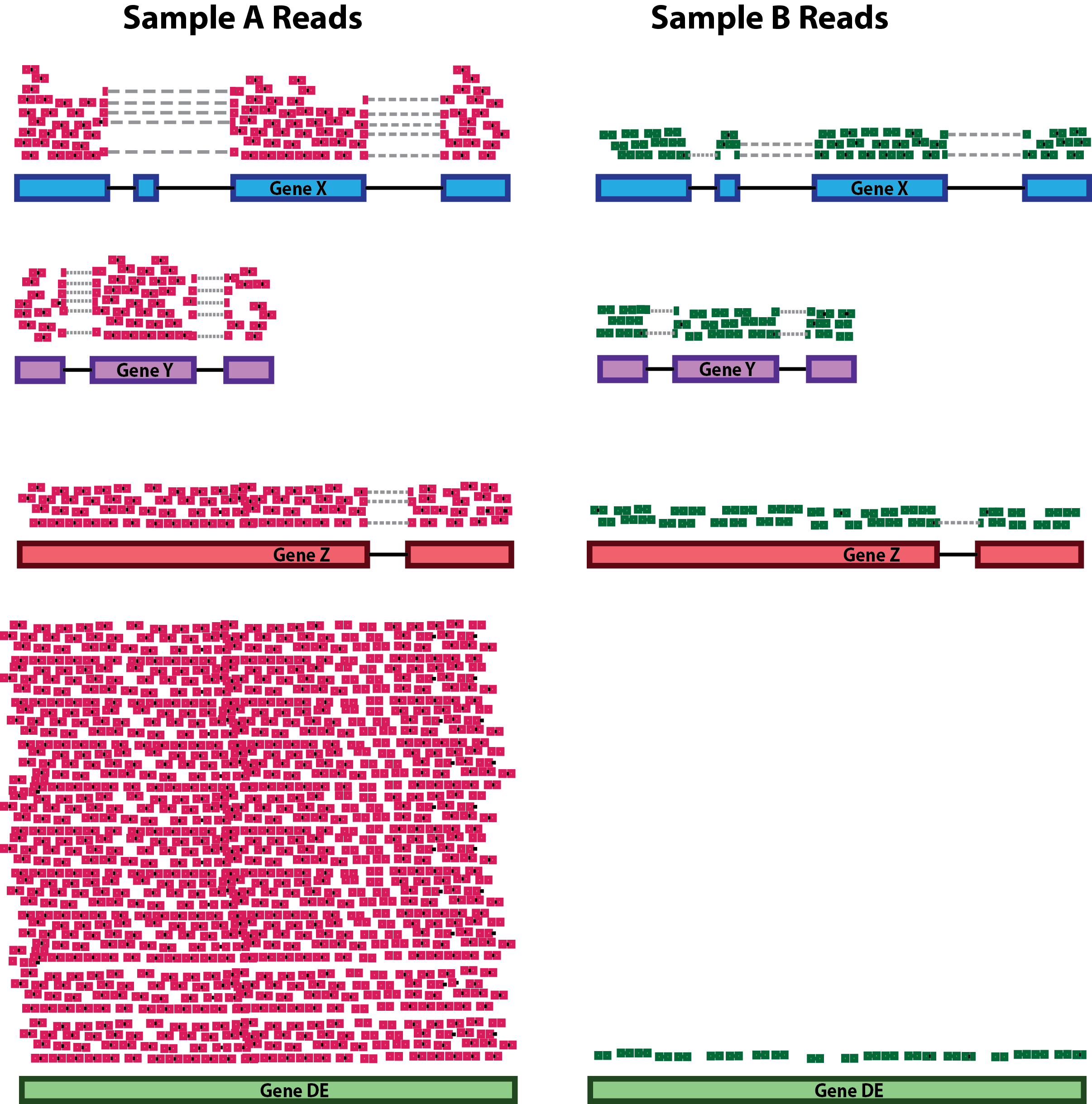 Individual and highly expressed genes (e.g. rRNA) may domininate all other genes - in a sample-specific manner’. Image from github.com/hbctraining