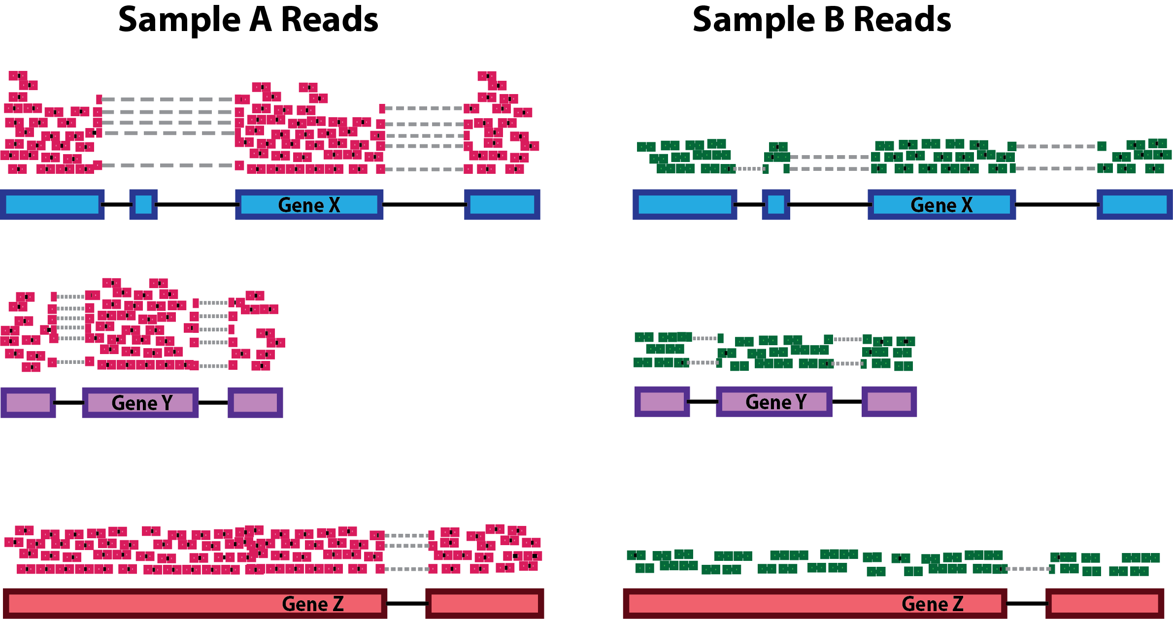 Read counts depend sequencing depth. Image from github.com/hbctraining